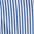 Coastal Stripe